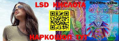 гашик Будённовск