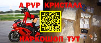 гашик Будённовск