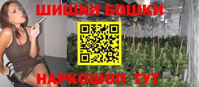 гашик Будённовск