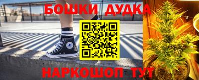 гашик Будённовск